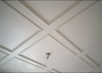 Decorative Ceiling Restoration